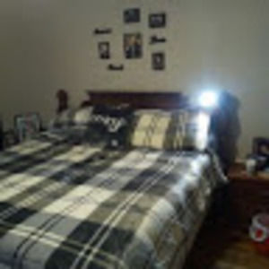 Meet your Posher, Alli